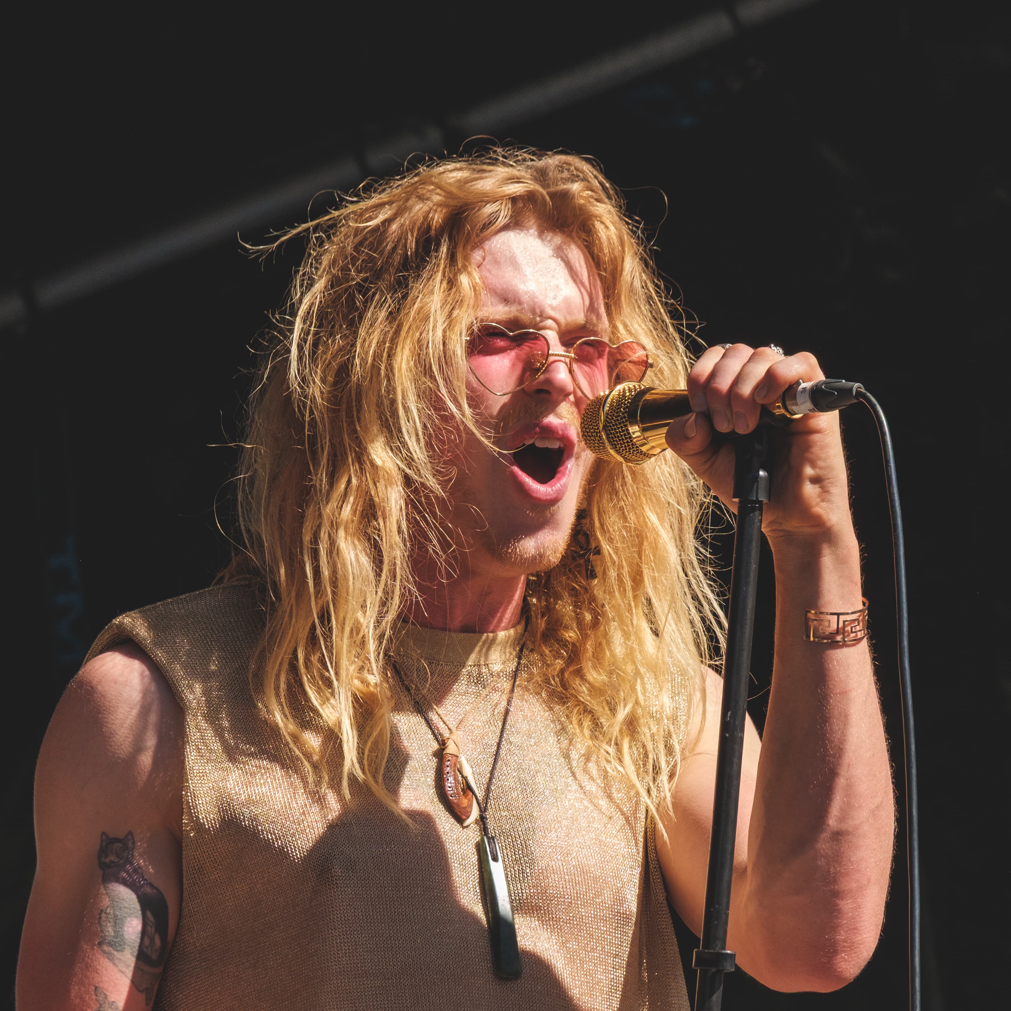 Dorado Experiment Mapua dorado_mapua1578.jpg