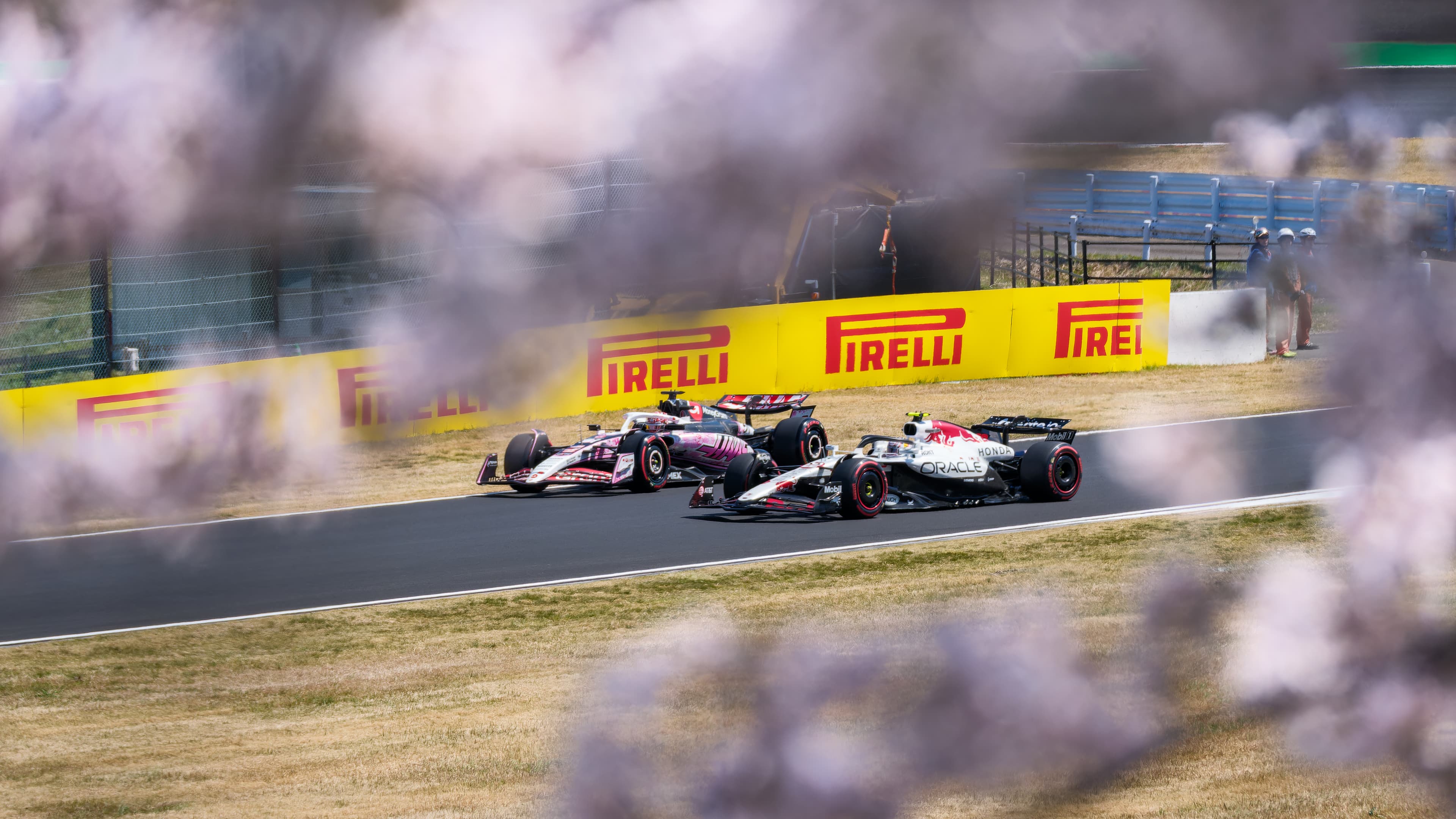 F1 Sakura