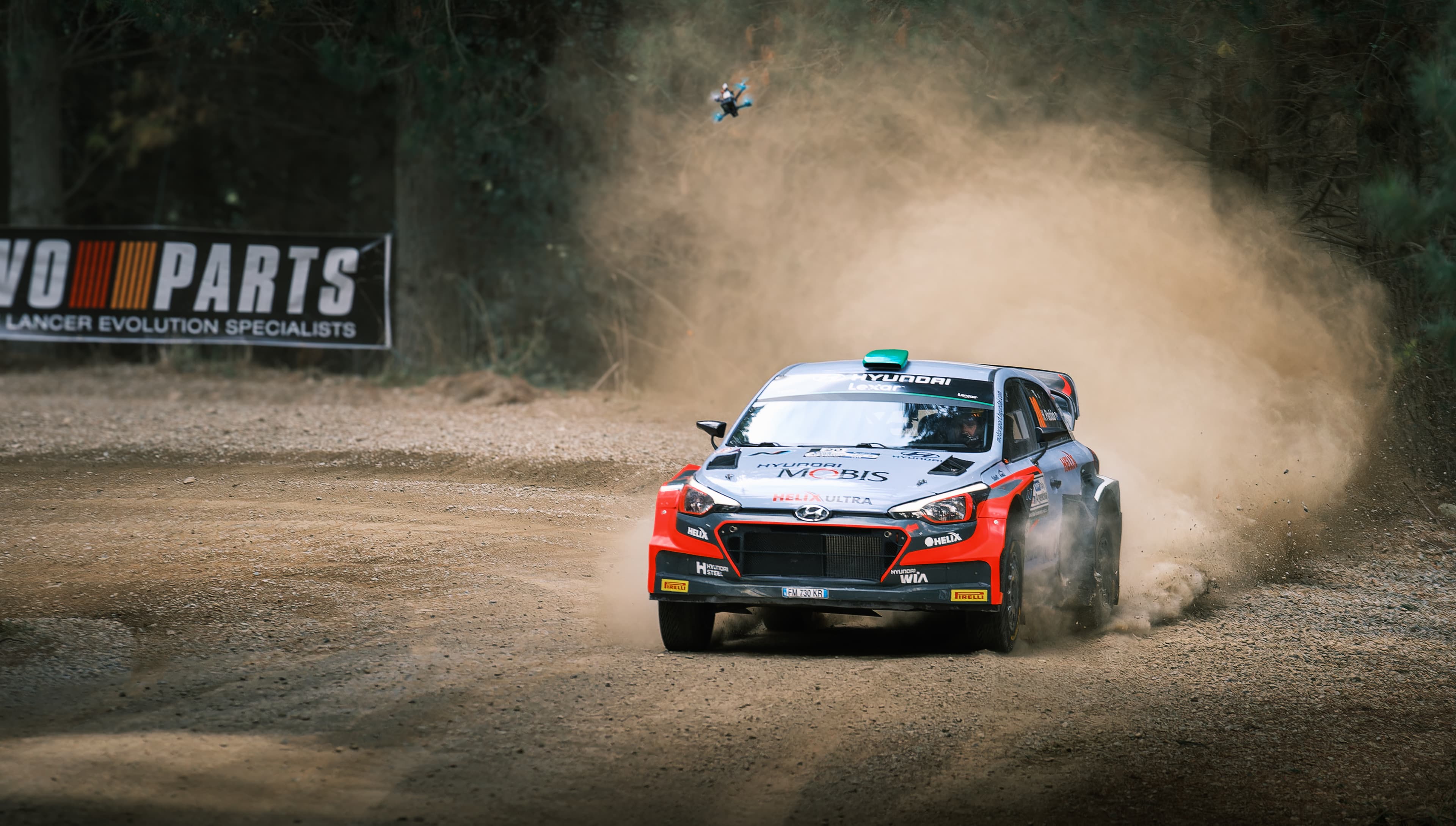 Rally Paddon Dust