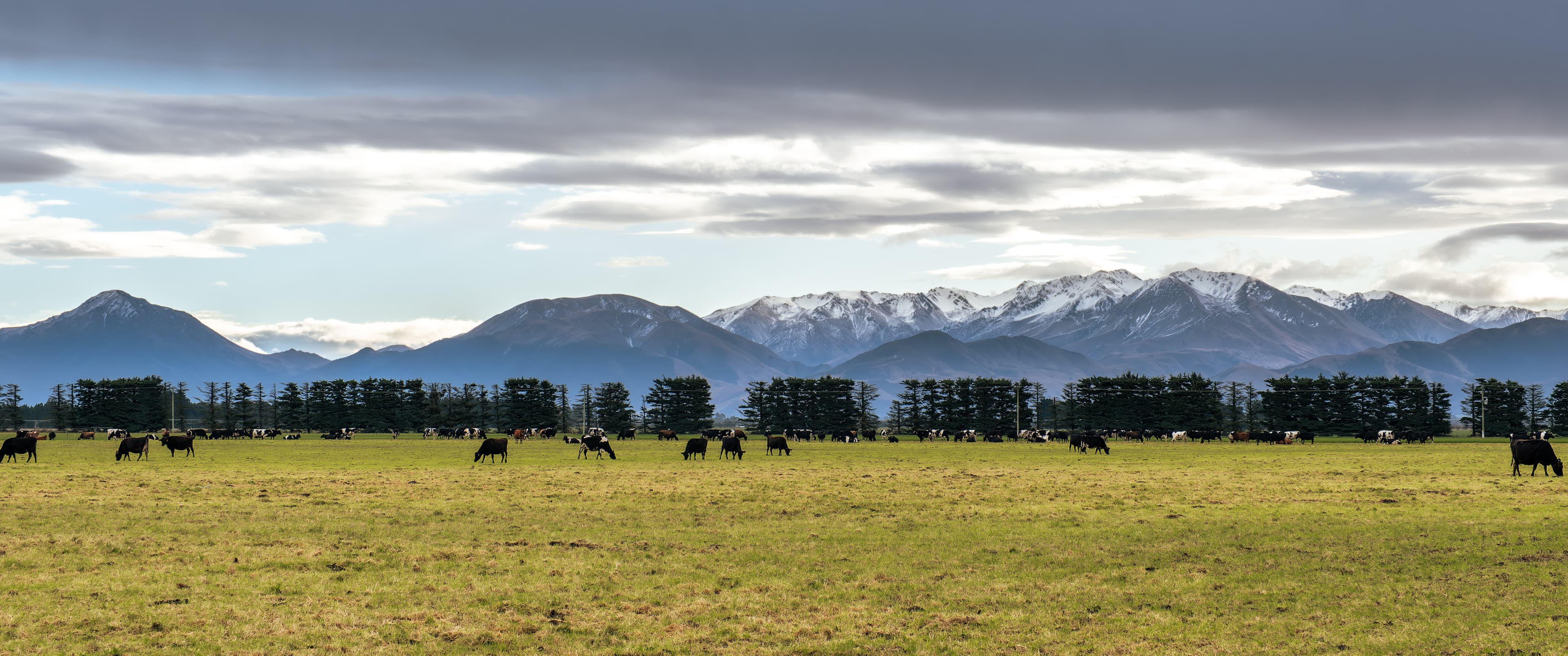 Mid Canterbury Panorama